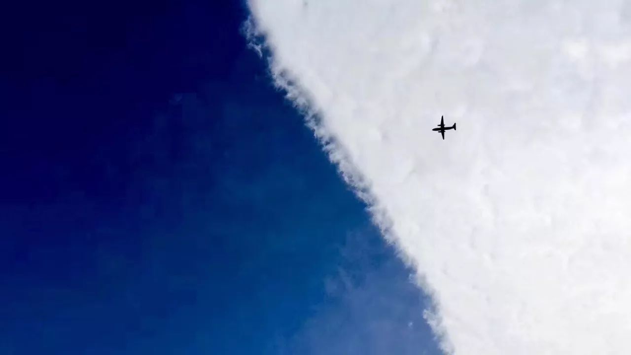 1574930679105604.jpeg 4dd40d06ecb845ce980dc71f39741b7b.jpeg