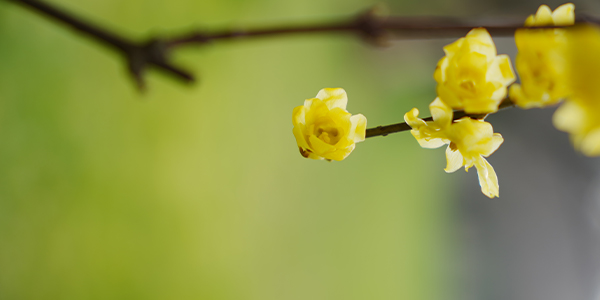 离婚咨询.jpg 离婚咨询.jpg